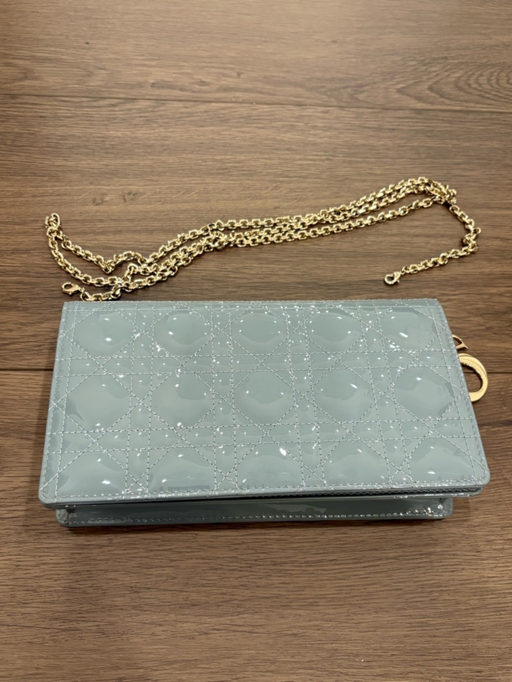 Authentic Lady Dior Calfskin Pouch in Cloud Blue (EXCELLENT, LIKE NEW CONDITION) - Picture 13 of 15